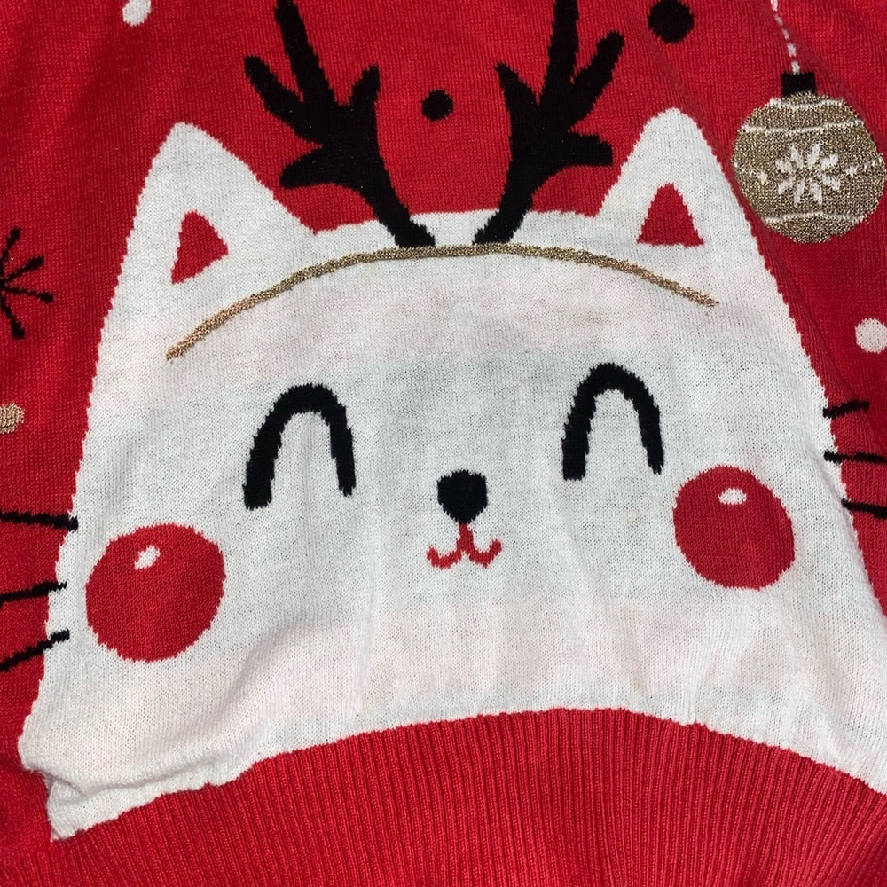 EUC kids Christmas Sweater (2 for $15) Size L (10/12)